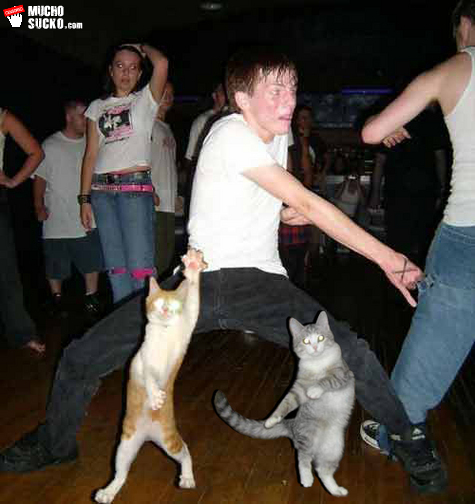 cats_dance.jpg