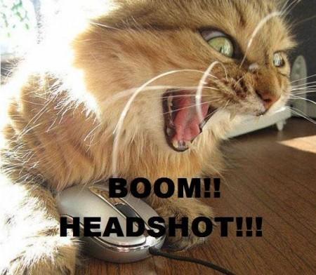 headshot_cat.jpg