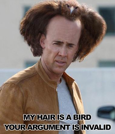 hair_is_bird.jpg